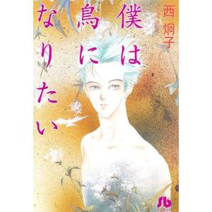 11月下旬より発送予定 / 新品 天上の虹 持統天皇物語 [文庫版] (1-11巻