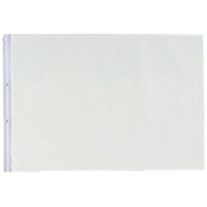 (まとめ)LIHITLAB PPクリヤーポケット クリアポケット N-2018 A3E 2穴 10枚...