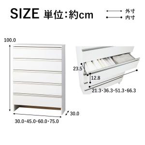 薄型 ランドリー収納庫 幅60cm ロータイプ...の詳細画像1