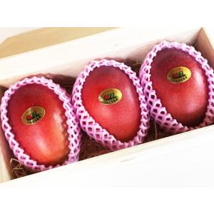 《贈答用》宮古島産アップルマンゴー1kg（2〜3個入り）｜マンゴー屋さん 2号店