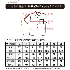 かりゆしウェア 琉球更紗 ボタンダウン(レギュ...の詳細画像5