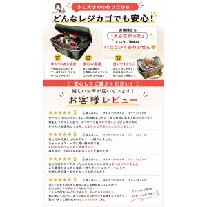 レジカゴが丸ごと入る レジカゴバッグ 保冷 自...の詳細画像1