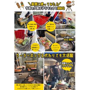 レジカゴが丸ごと入る レジカゴバッグ 保冷 自...の詳細画像1