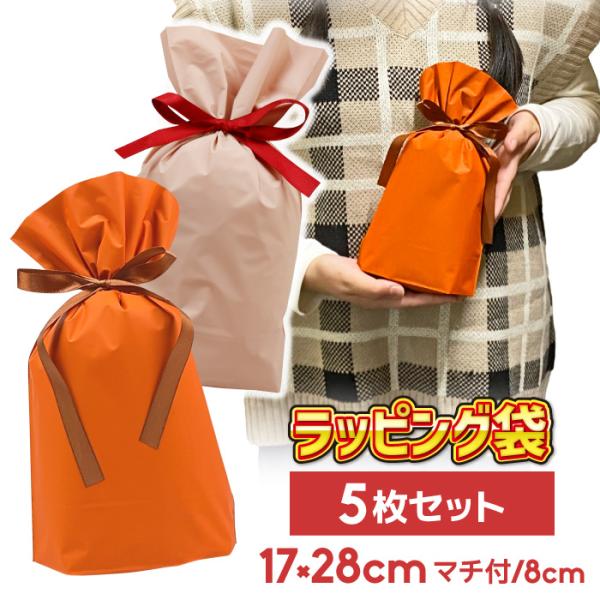 ５枚セット ラッピング 袋 巾着 17cm×28cm 底マチあり 単品 単体 リボン プレゼント ギ...