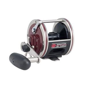 リール ペン Penn 113H2LW PENN Special Senator Star Drag Conventional Nearshore/Offshore Fishing Reel, HT-｜maniacs-shop