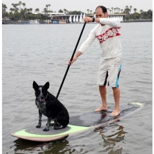犬用SUPトランクションパッド パップデック スタンドアップパドルボード用オプション Better Surf t