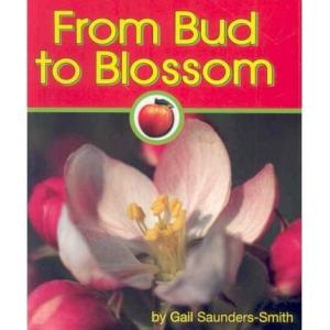 To Blossomの商品一覧 通販 Yahoo ショッピング