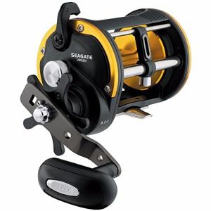 DAIWA（ダイワ） SEALINE CONVENTIONAL LW