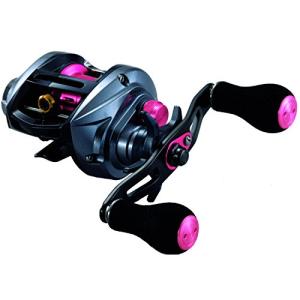 DAIWA（釣り） 23 紅牙 100L 釣り ベイトリール - 最安値・価格比較