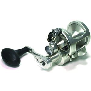 銀影MT 大鮎100 DAIWA（釣り） ダイワ 鮎竿 銀影 MT 大鮎 100 : つり具の銭屋