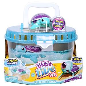 little live pet shop