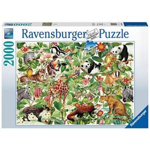 ジグソーパズル ５個セット ジグソーパズル 海外製 アメリカ 16845 Ravensburger Pokemon 5000