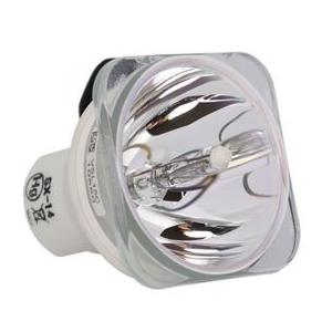 プロジェクターランプ ホームシアター テレビ PG-LX2000 BARE LAMP ONLY Te...