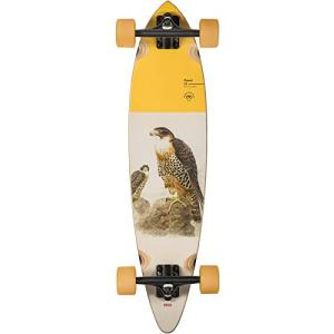 グローブ ロングスケートボード スケボー 10525289 Globe Longboard Pintail 34 Falcon 8.5" x 34"｜maniacs-shop