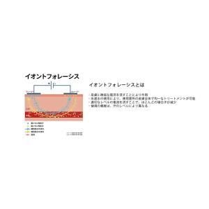 【エクスプレス便】追跡可能!ダーマドライ トー...の詳細画像3