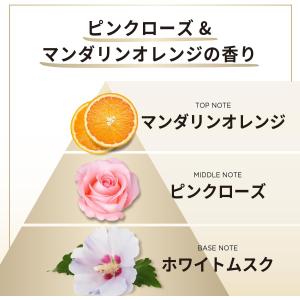 シャンプー トリートメント ヘアーマスク 3点...の詳細画像2