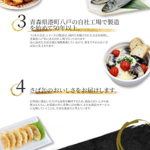 日本のいわし 140g 24缶 水煮 味付 味...の詳細画像3