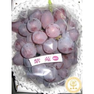 あたご梨1個(1kg)＆紫苑1房(800g)｜mankasou