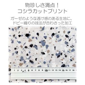 カンフェティ コシラカット Cブルー×ブラック...の詳細画像1