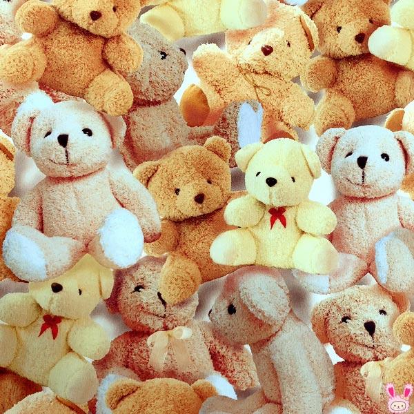 超リアルなクマのぬいぐるみ　10cm単位　切り売り　S2204179-1　シーティング生地　(161...