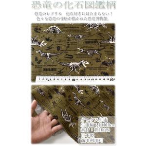 恐竜の化石図鑑 Bベージュ系 オックス生地 A...の詳細画像1