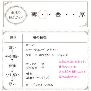 恐竜の化石図鑑 Bベージュ系 オックス生地 A...の詳細画像4
