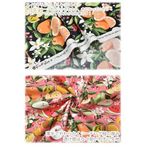 フルーツループ 10cm単位 切り売り コット...の詳細画像3