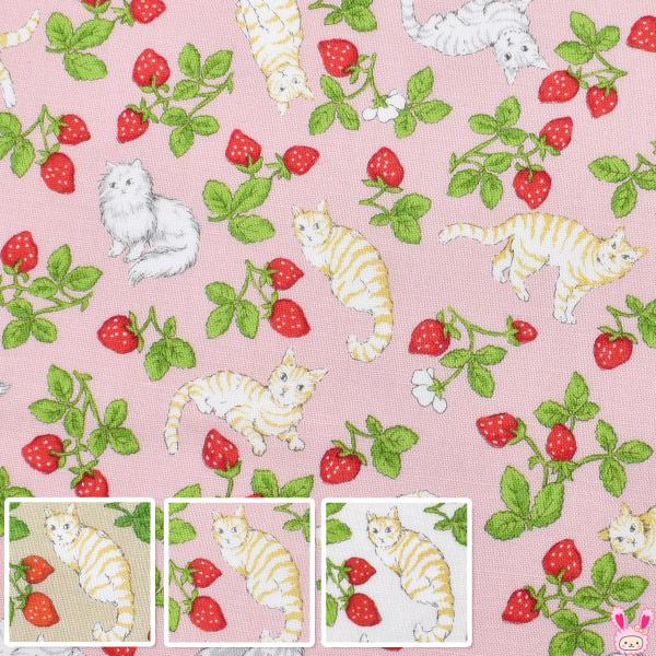 ねこのあそびば　スケア生地　CA10664S　双日　(50cm以上10cm単位切り売り)