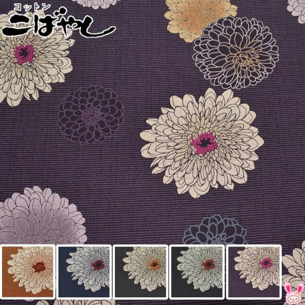 菊花文様　サザンクロス生地　KTS7097　コットンこばやし　(50cm以上10cm単位切り売り)