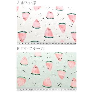 水彩スイカ コットンリネンシーチング生地 HS...の詳細画像1