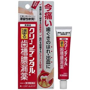 クリーンデンタルN 16g　第３類医薬品｜manmaru-store