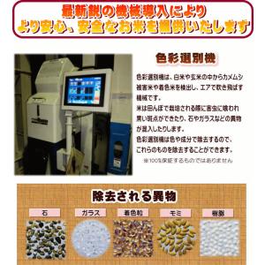 米 10kg コシヒカリ 玄米 福島県産 お米...の詳細画像2