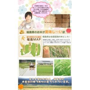 米 30kg コシヒカリ 玄米 お米 7年産 ...の詳細画像3