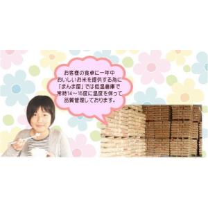 セール 米 コシヒカリ 10kg(5kg×2袋...の詳細画像4