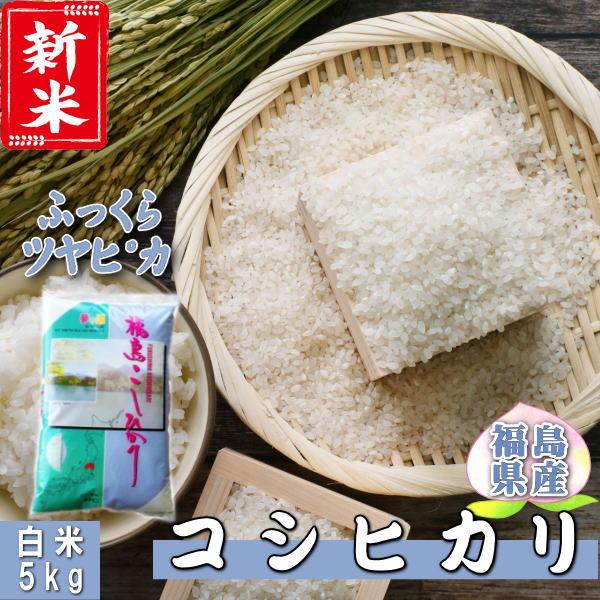 新米 コシヒカリ 5kg 福島県産 お米 7年産 送料無料 『令和7年福島県産コシヒカリ白米5kg』