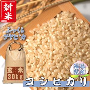 米 30kg コシヒカリ 玄米 お米 5年産 福...の商品画像