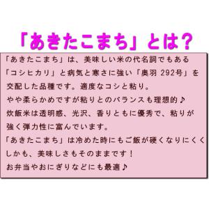 【爆買ウルトラ限定 セール】新米 10kg 送...の詳細画像1