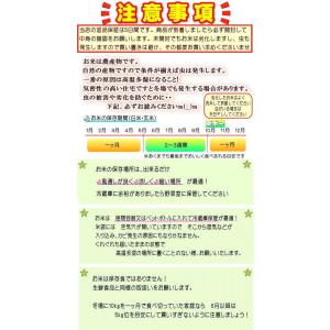 【爆買ウルトラ限定 セール】新米 10kg 送...の詳細画像4