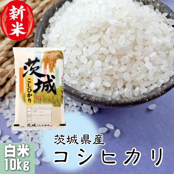 新米 10kg コシヒカリ お米 8年産 茨城県産 送料無料『令和8年茨城県産コシヒカリ白米10kg...