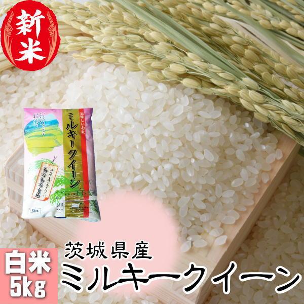新米 5kg ミルキークイーン お米 8年産 茨城県産 送料無料『令和8年茨城県産ミルキークイーン白...