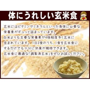 お米 玄米 10kg 送料無料 国内産 『うち...の詳細画像1