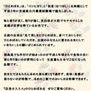 【8月おすすめ】セール 米 ひとめぼれ 10k...の詳細画像1