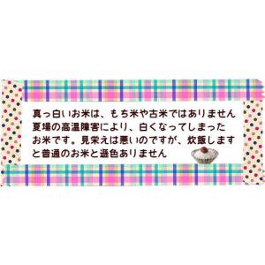 【8月おすすめ】セール 米 10kg 送料無料...の詳細画像4