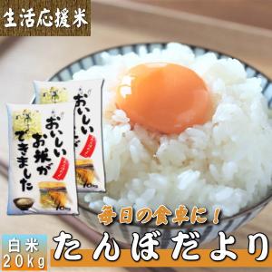 20kg お米 白米 安い (10kg×2袋) 訳あり ブレンド米 送料無料 『国内産たんぼだより(白米10kg×2)』｜manmayarice