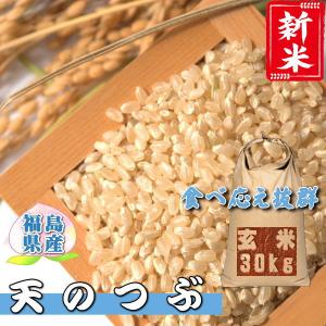 米 天のつぶ 30kg 玄米 福島県産 お米 5年産 送料無料 『令和5年福島県産天のつぶ玄米30kg』