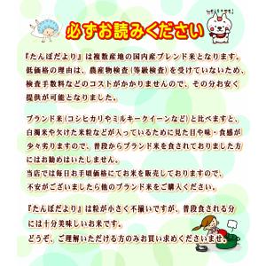 【クーポン対象】セール 米 10kg 送料無料...の詳細画像2