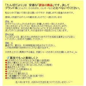 【クーポン対象】セール 米 10kg 送料無料...の詳細画像3