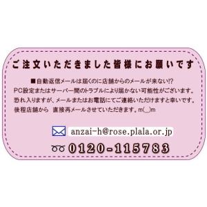 【クーポン対象】セール 米 10kg 送料無料...の詳細画像4