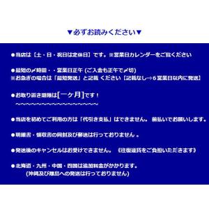 【クーポン対象】セール 米 10kg 送料無料...の詳細画像5