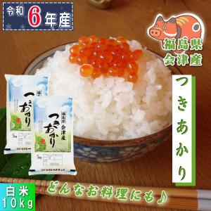 米 つきあかり 10kg(5kg×2袋) 福島県産 お米 5年産 送料無料『令和5年福島県会津産つきあかり(白米5kg×2)』